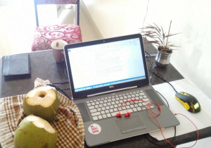 кокос и компьютер